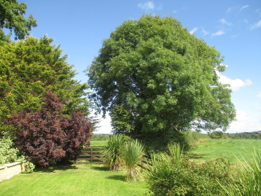 Tralia Farmhouse Self Catering Farranfore Exterior photo