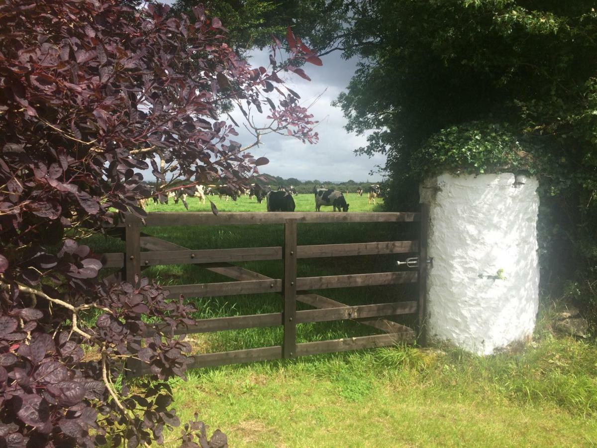Tralia Farmhouse Self Catering Farranfore Exterior photo